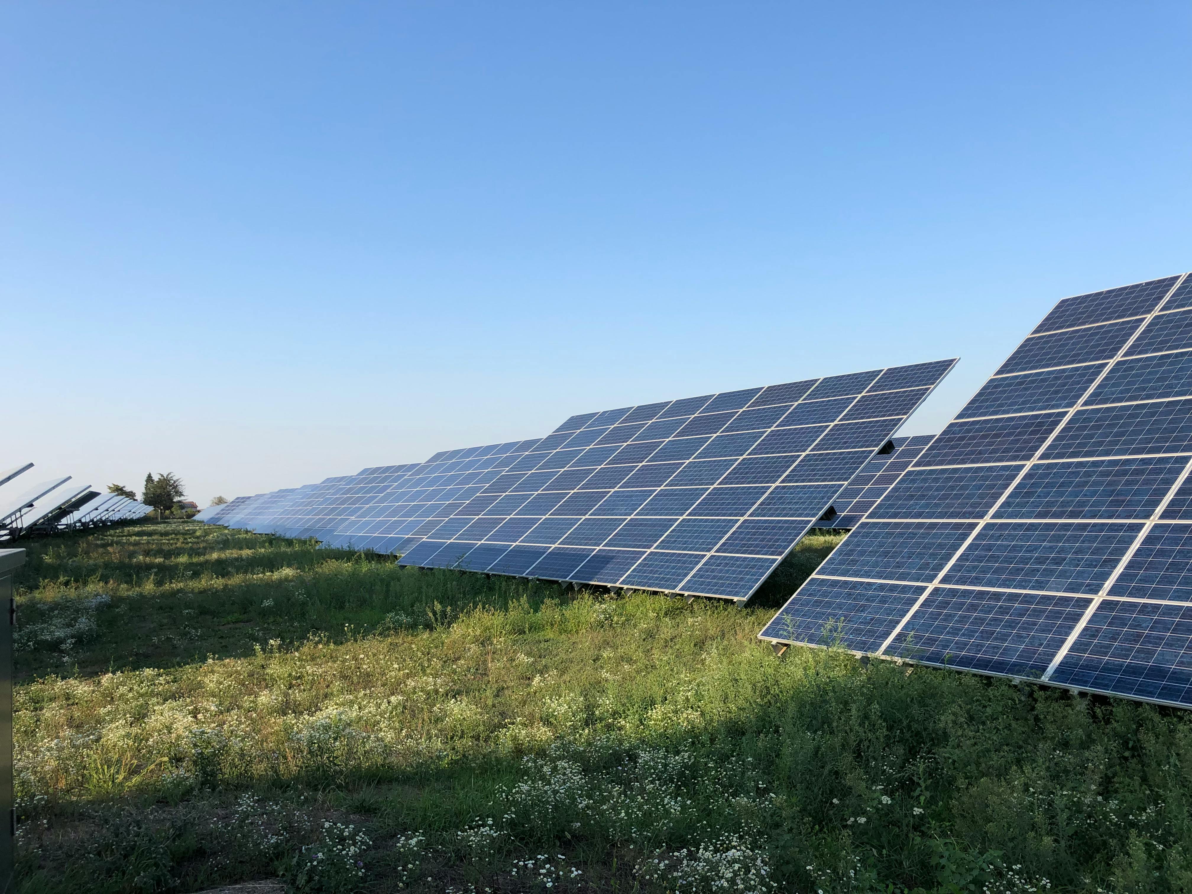 Solar panels in a green field under a clear blue sky in Tortona, Italy.